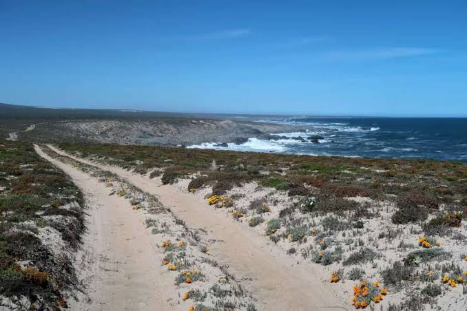 0 Bedroom Property for Sale in Hondeklip Bay Northern Cape